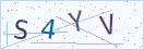 验证码
