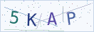 验证码