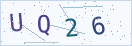 验证码