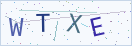 验证码