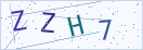 验证码