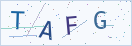 验证码
