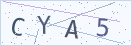 验证码