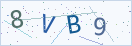 验证码