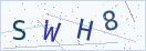 验证码