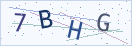 验证码