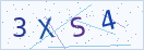 验证码