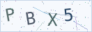 验证码