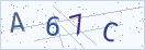 验证码