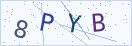 验证码