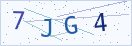验证码
