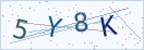 验证码
