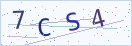 验证码