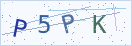 验证码