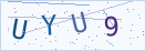 验证码