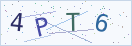 验证码