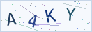 验证码