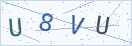 验证码