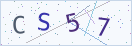 验证码