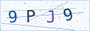验证码