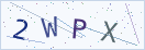 验证码