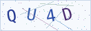 验证码