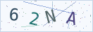 验证码