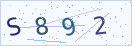 验证码