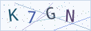 验证码