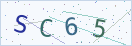 验证码