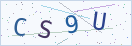 验证码
