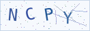 验证码