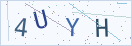 验证码
