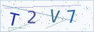 验证码