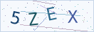 验证码