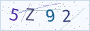 验证码