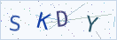 验证码