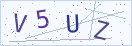 验证码