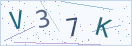 验证码