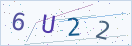 验证码