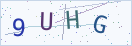 验证码