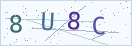 验证码