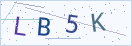 验证码